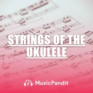 ukulele strings names