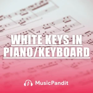 White Keys in Piano or Keyboard